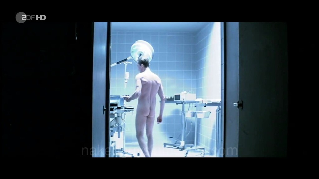 Antibodies