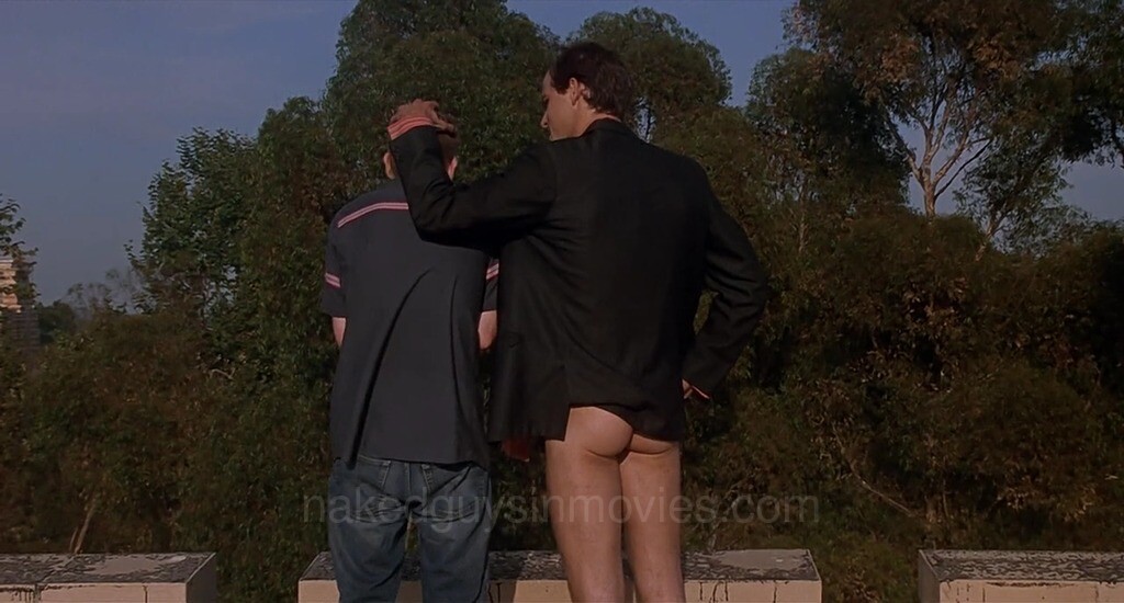 Van Wilder